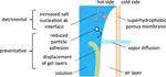 Combining Air Recharging and Membrane Superhydrophobicity for Fouling Prevention in Membrane Distillation